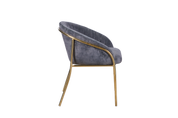 Dining Chair  HTC0547 | HOMETREE