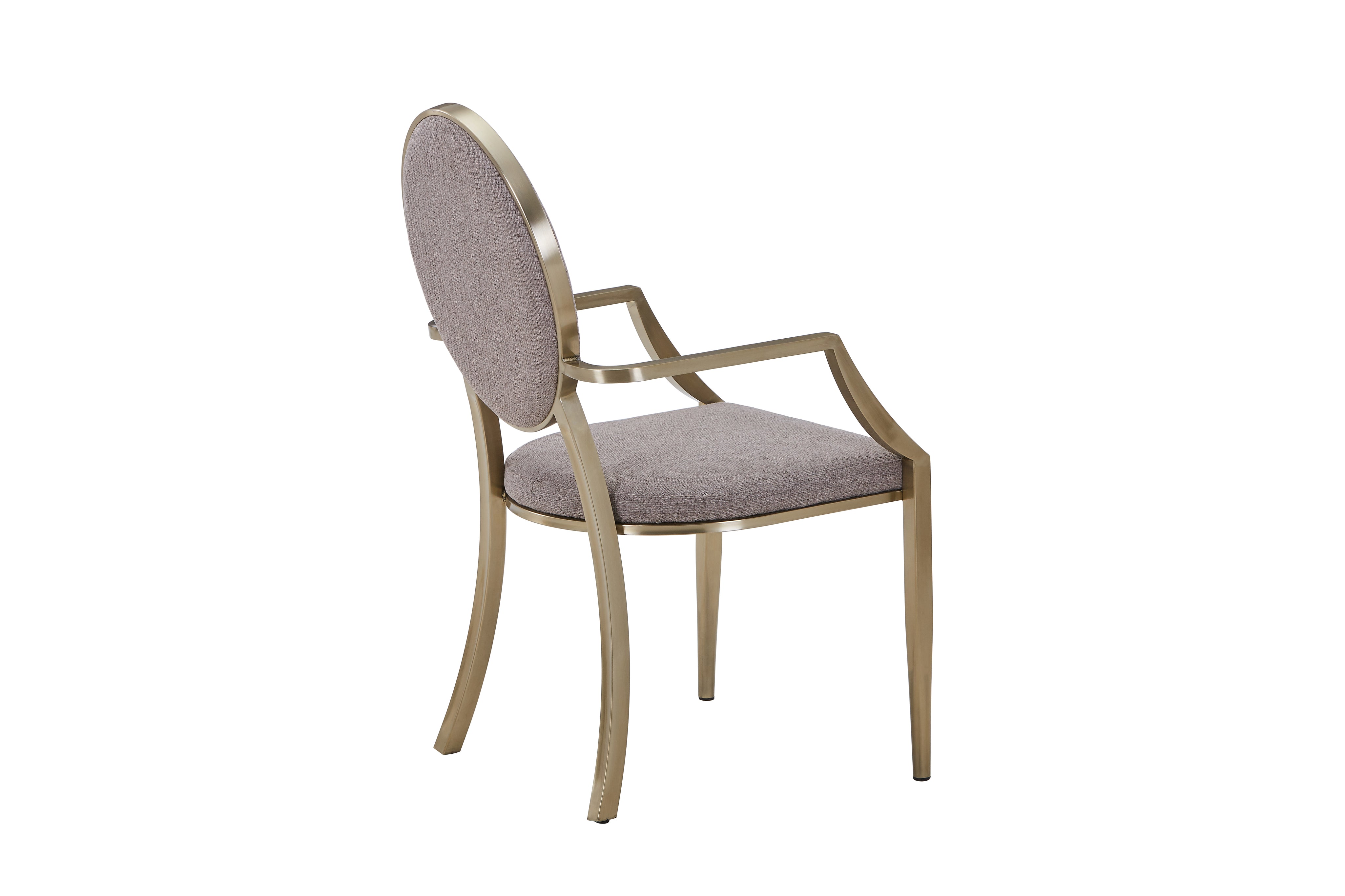 Stainless Steel Frame Dining Chair HTC803(2 Chairs) | Fondhouse