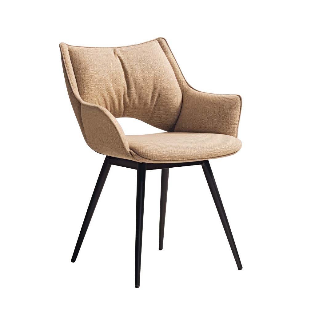 Dining Chair HTA0090 | HOMETREE