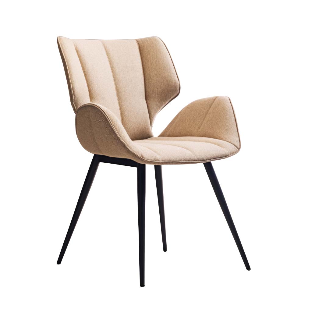 Dining Chair HTA0091 | HOMETREE