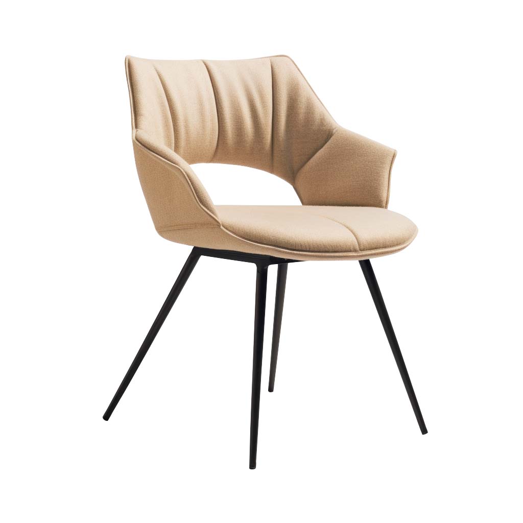 Dining Chair HTA0097 | HOMETREE