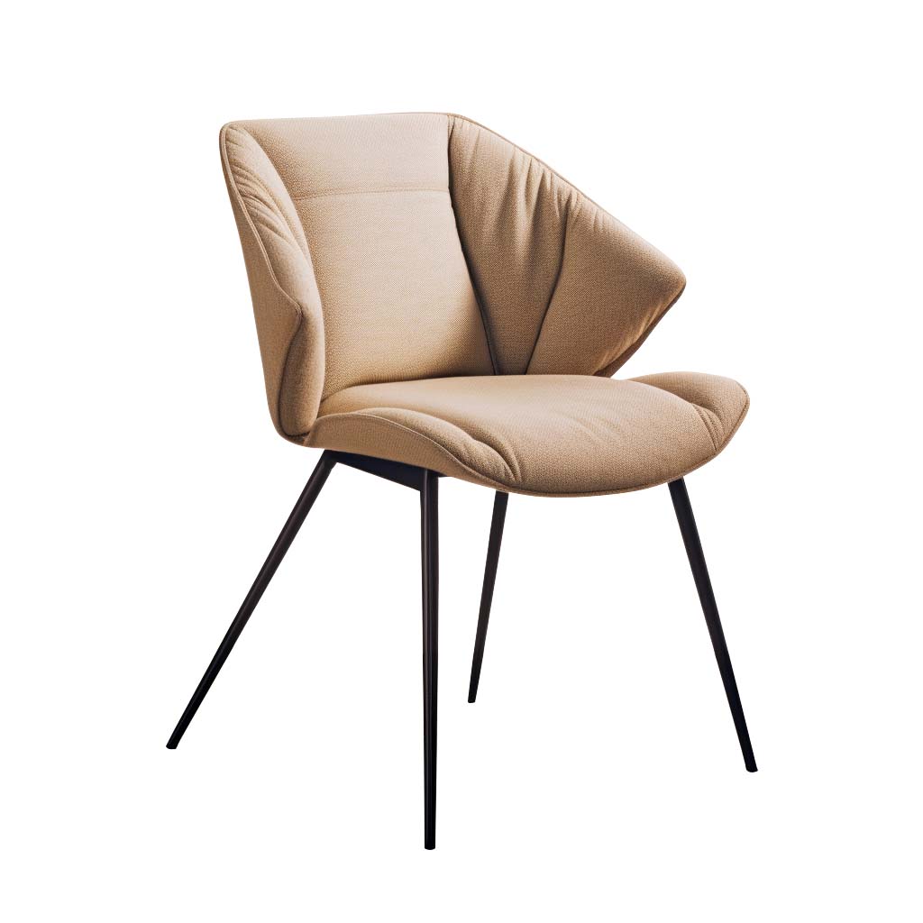 Dining Chair HTA0099 | HOMETREE