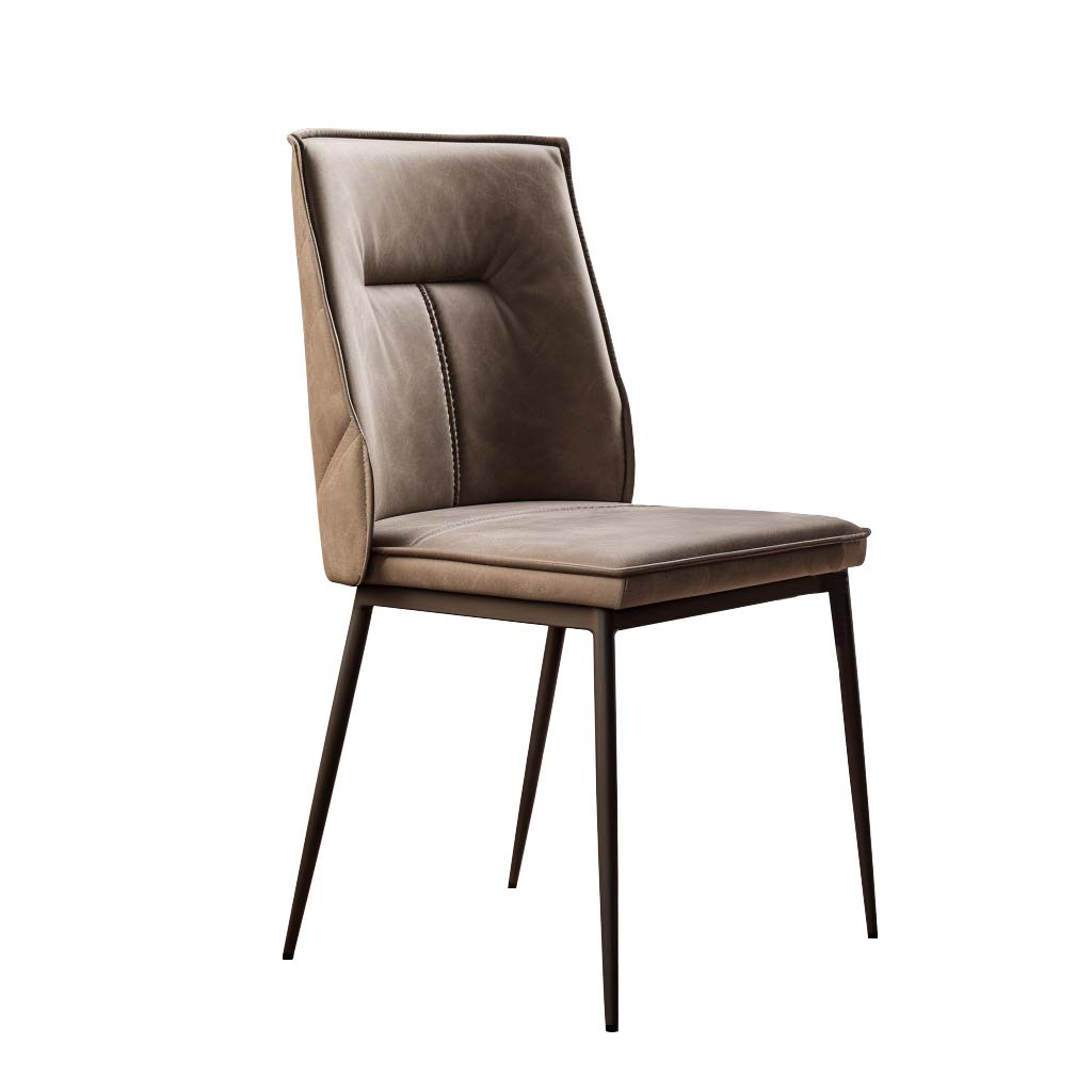 Dining Chair HTA0152 | HOMETREE
