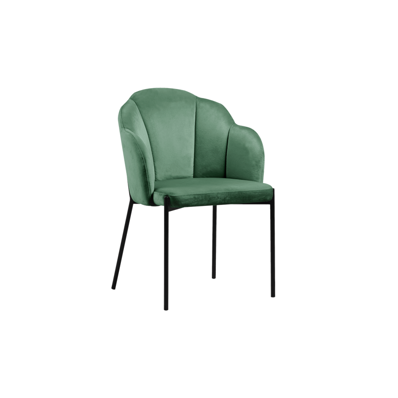 Dining chair HTC0166 | HOMETREE