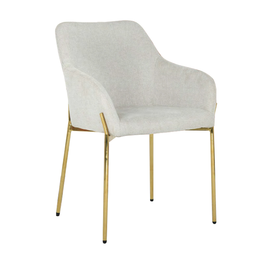 Dining Chair Fabric HTC0564 | HOMETREE