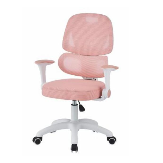 Office Chair Ergonomic Design (2 Chairs) LKWM21OCTA | LEUKHOME