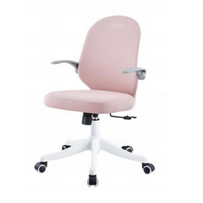 Office Chair Ergonomic Design (2 Chairs) LKWM36OCTA | LEUKHOME