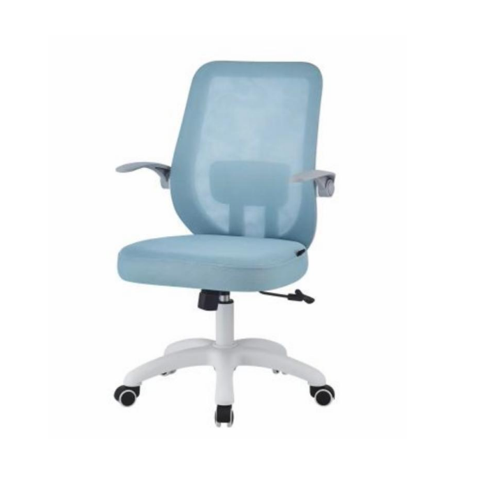 Office Chair Ergonomic Design (2 Chairs) LKWM39OCTA | LEUKHOME