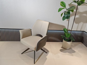 Dining Chair DX-2589 | FONDHOUSE