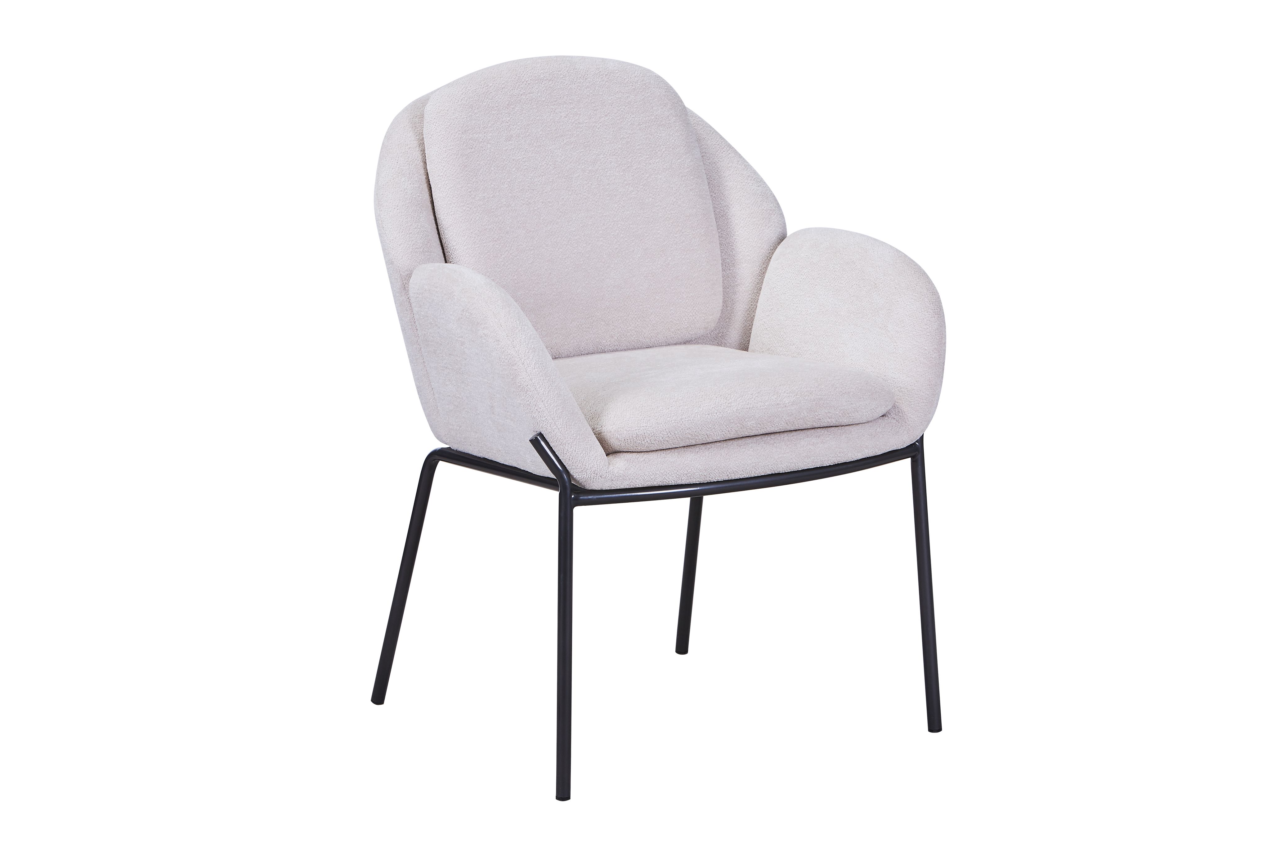 Dining Chair  HTC0569 | HOMETREE