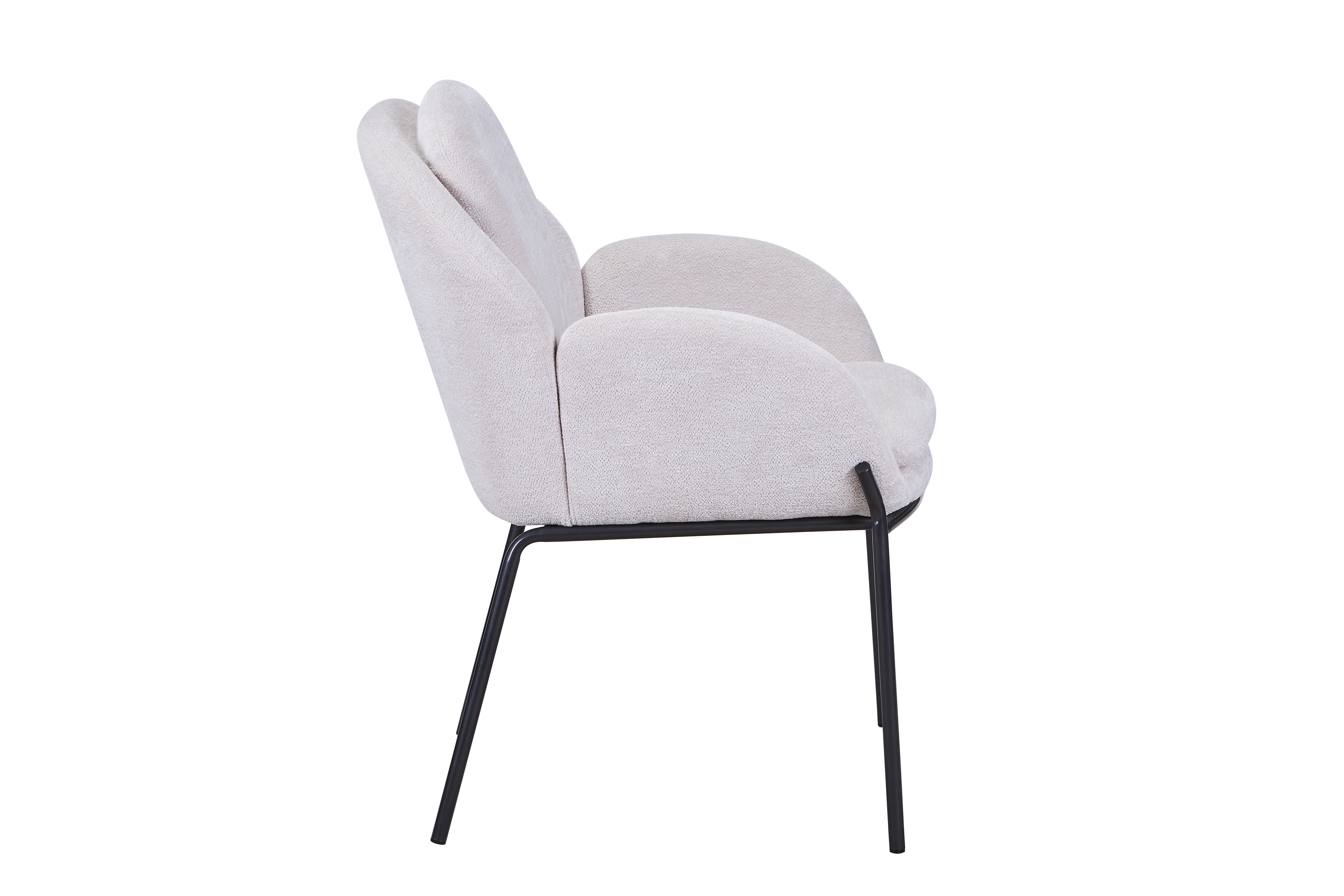 Dining Chair  HTC0569 | HOMETREE