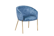 Dining Chair  HTC0570 | HOMETREE