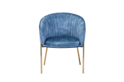 Dining Chair  HTC0570 | HOMETREE