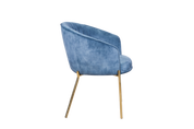 Dining Chair  HTC0570 | HOMETREE