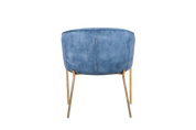 Dining Chair  HTC0570 | HOMETREE