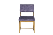 Dining Chair  HTC0000 | HOMETREE