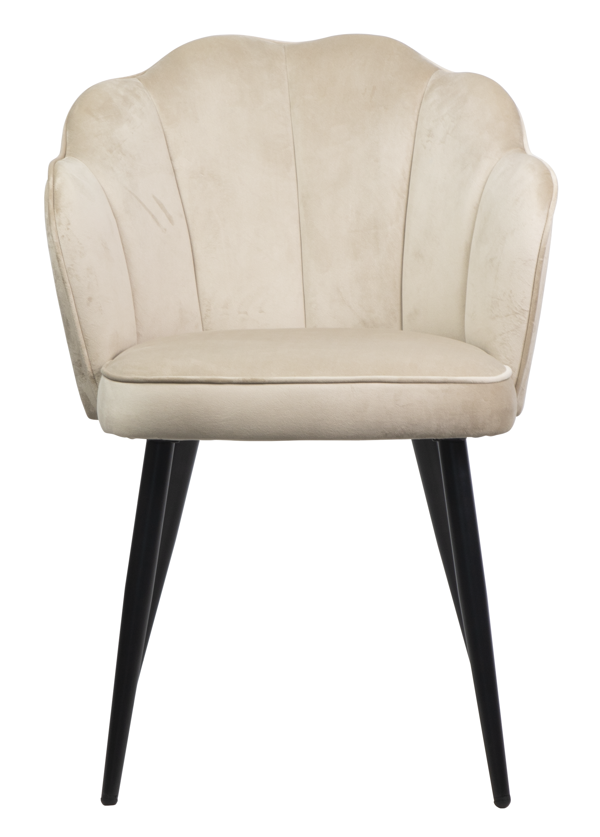 Dining chair HTC0579 | HOMETREE