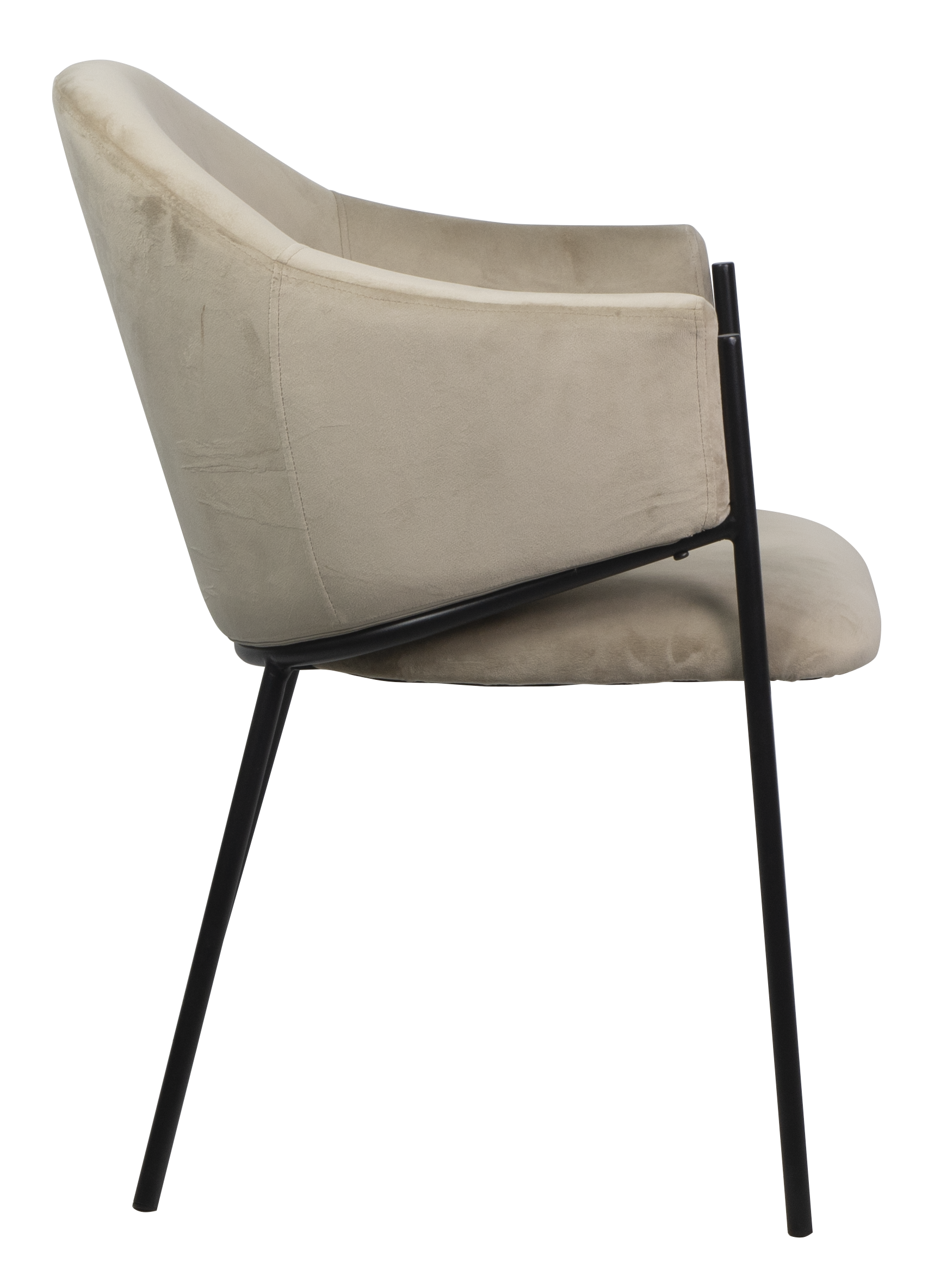 Dining chair HTC0541 | HOMETREE