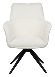 Dining Chair  HTC0531 | HOMETREE