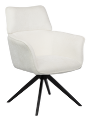 Dining Chair  HTC0531 | HOMETREE