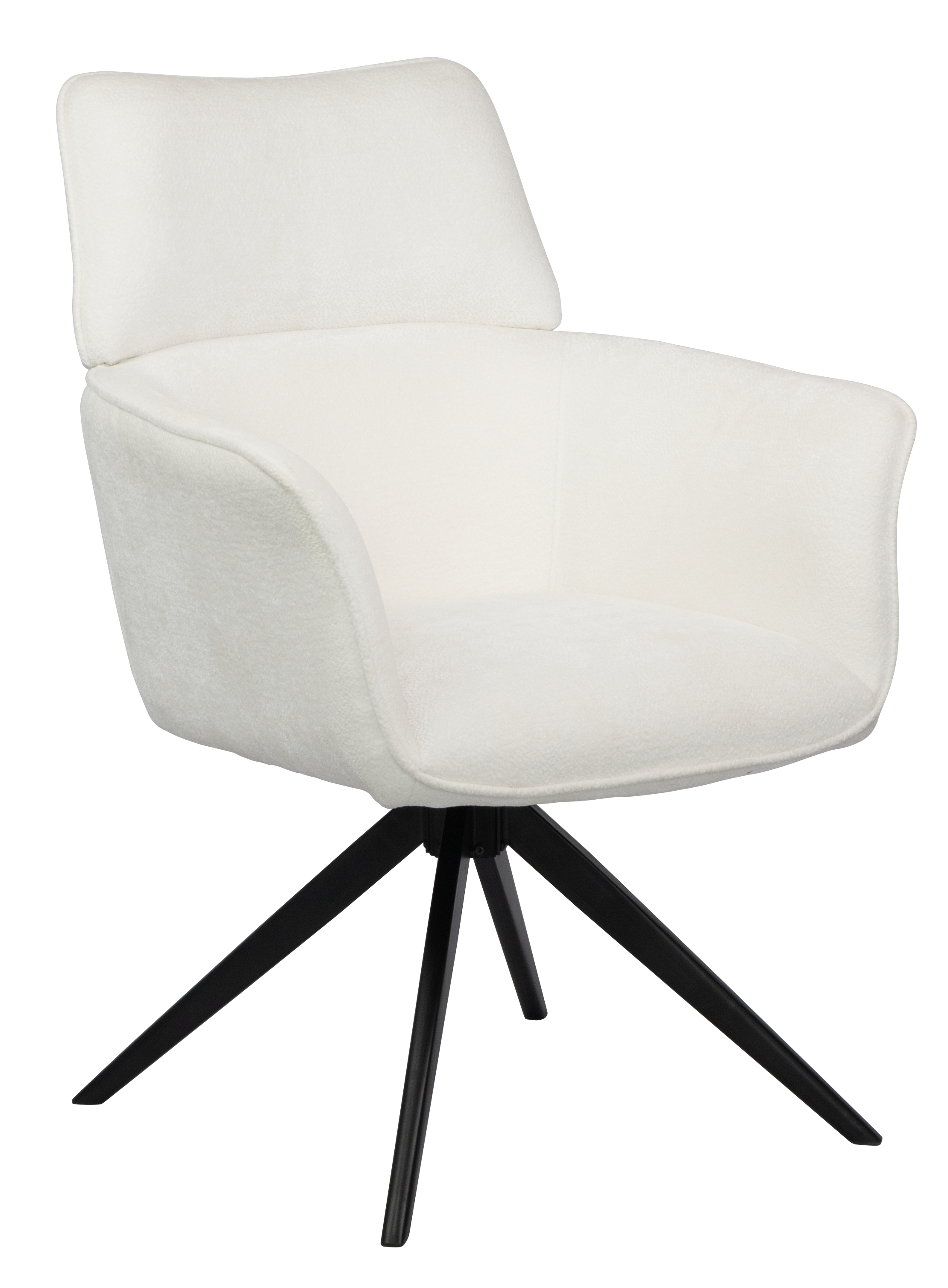 Dining Chair  HTC0531 | HOMETREE