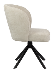 Dining Chair  HTC0533 | HOMETREE